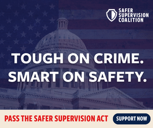 300x250px_SAFER Supervision